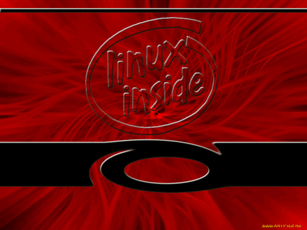 , intel